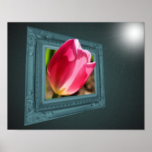 Affiches Fleur De Tulipe Rose Sortie Du Cadre
