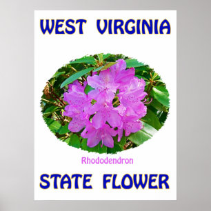 Affiches Fleur d'état de la Virginie Occidentale,