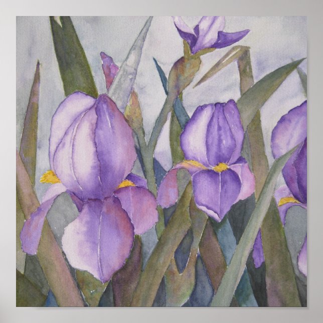 Affiches Fleur d'iris pourpre (Devant)