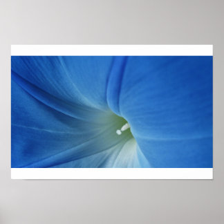 Affiches Fleur du matin