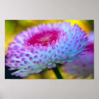 Affiches Fleur en fleur