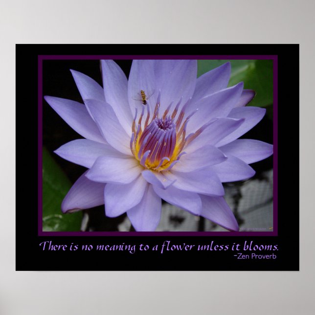 Affiches Fleur fleurs Zen Proverbe Purple Eau Lily & Abeill (Devant)
