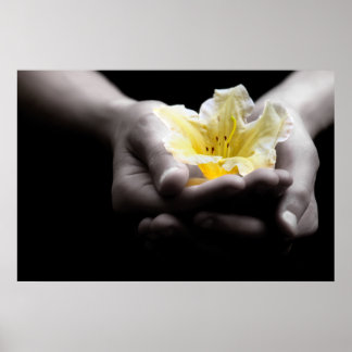 Affiches Fleur Jaune Dans Les Mains