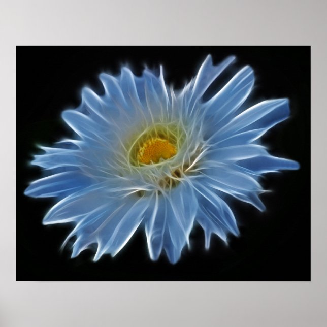 Affiches Fleur marguerite (Devant)