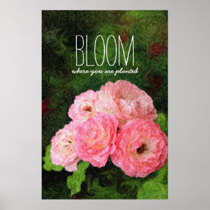Affiches Fleur où vous êtes inspiration rose plantée de