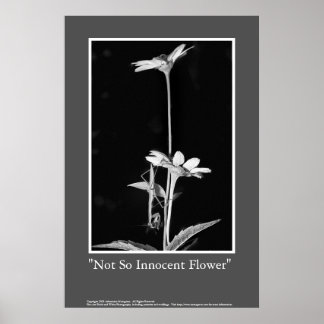 Affiches Fleur pas si innove