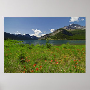 Affiches Fleur sauvage et Montagnes