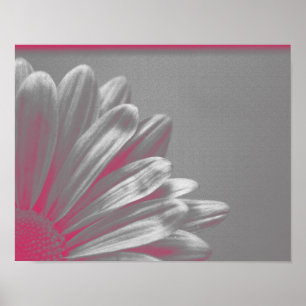 Affiches Fleur surlignée rose