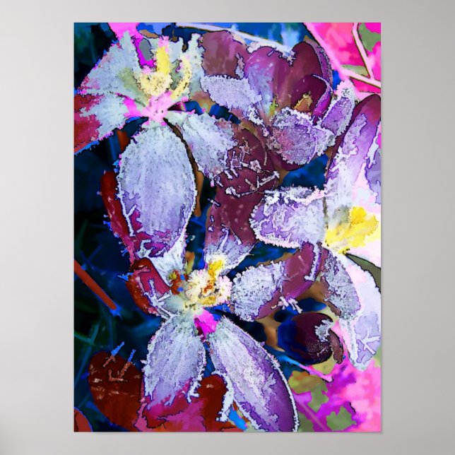 AFFICHES FLEURS (Devant)