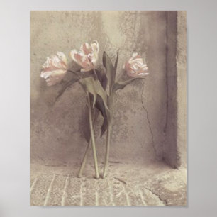 Affiches fleurs
