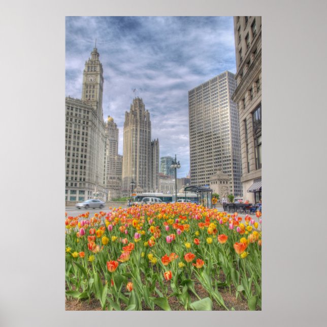 Affiches Fleurs à Chicago (Devant)