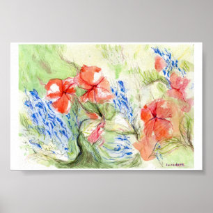 Affiches Fleurs Balsam et Lobelia