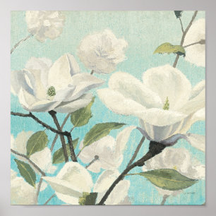 Affiches Fleurs blanches des sud