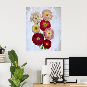 Affiches Fleurs Botaniques Vintage Roses Rouge Rose sur Fon