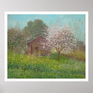 Affiches Fleurs d'amandes et moutarde sauvage (1152)