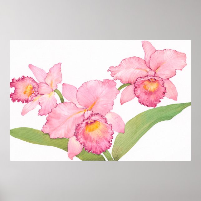 Affiches Fleurs d'aquarelle rose exotique (Devant)