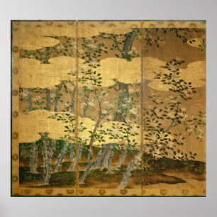 Affiches Fleurs de Camellias