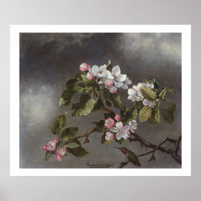 Affiches Fleurs de colibri et de pomme Martin J. Heade (Devant)
