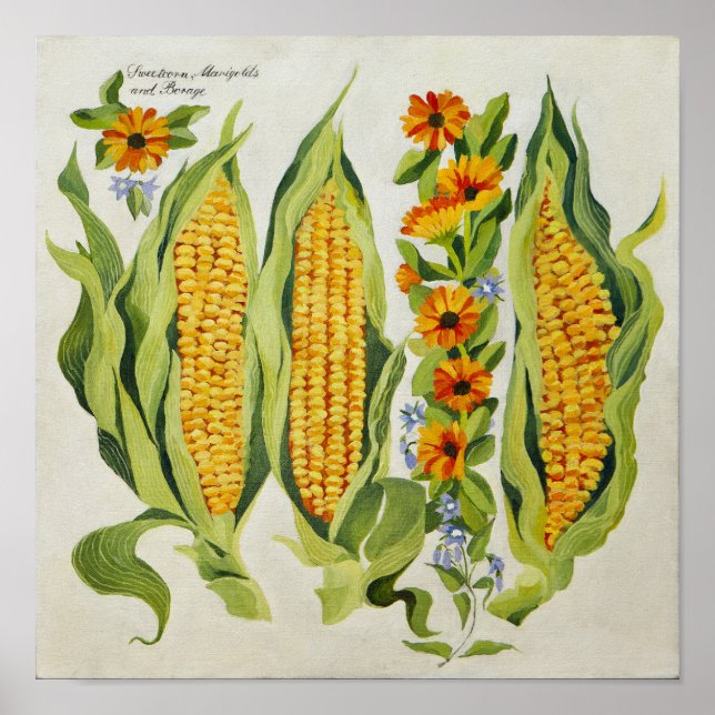 Affiches Fleurs de maïs et de moelle 2014 (Devant)