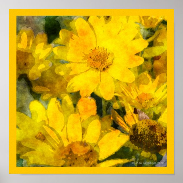 Affiches Fleurs de marguerite jaune Aquarelle (Devant)
