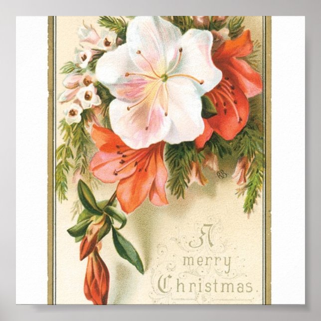 Affiches Fleurs de Noël (Devant)