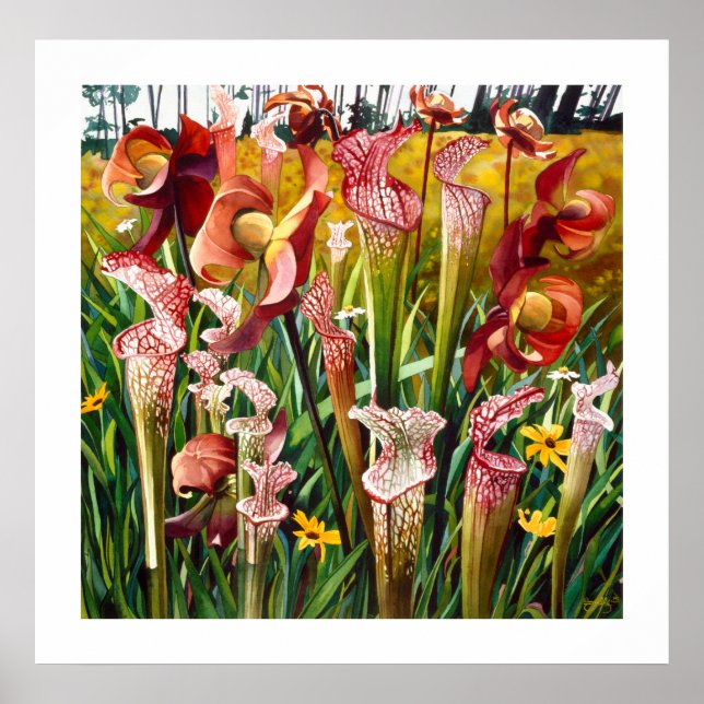 Affiches "Fleurs de printemps" Floral Aquarelle Art (Devant)