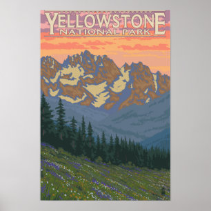 Affiches Fleurs de ressort - parc national de Yellowstone