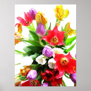 Affiches Fleurs de tulipes romantiques de printemps