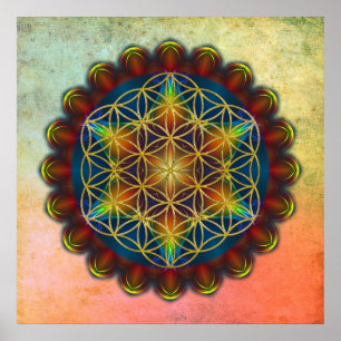 Affiches FLEURS DE VIE / Blume des Lebens - Mandala III