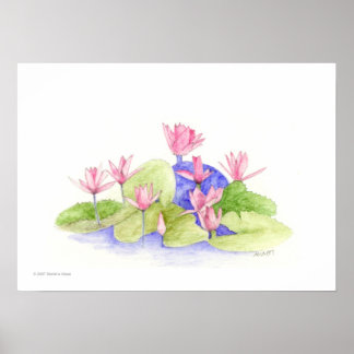 Affiches Fleurs d'eau