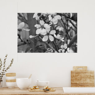 Affiches Fleurs délicates 3623