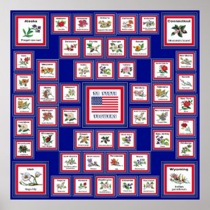 AFFICHES FLEURS D'ÉTAT DES ETATS-UNIS 50 BLUE/558
