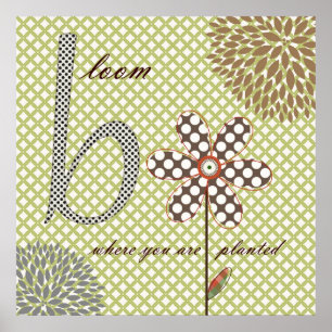 Affiches Fleurs douces de fleur