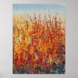 Affiches Fleurs du désert II