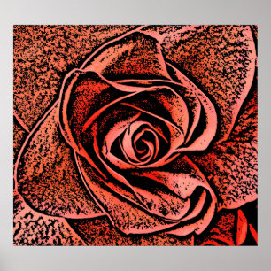 AFFICHES FLEURS DU JARDIN DE PAYS