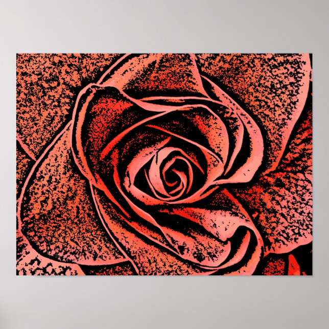 AFFICHES FLEURS DU JARDIN DE PAYS (Devant)