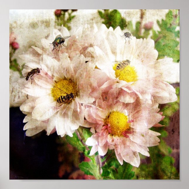 Affiches Fleurs et abeilles (Devant)