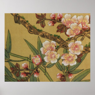 Affiches Fleurs Japonaises Asiatiques Floraison de Cerisier