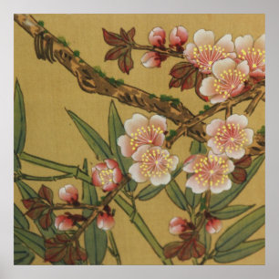Affiches Fleurs Japonaises Asiatiques Floraison de Cerisier