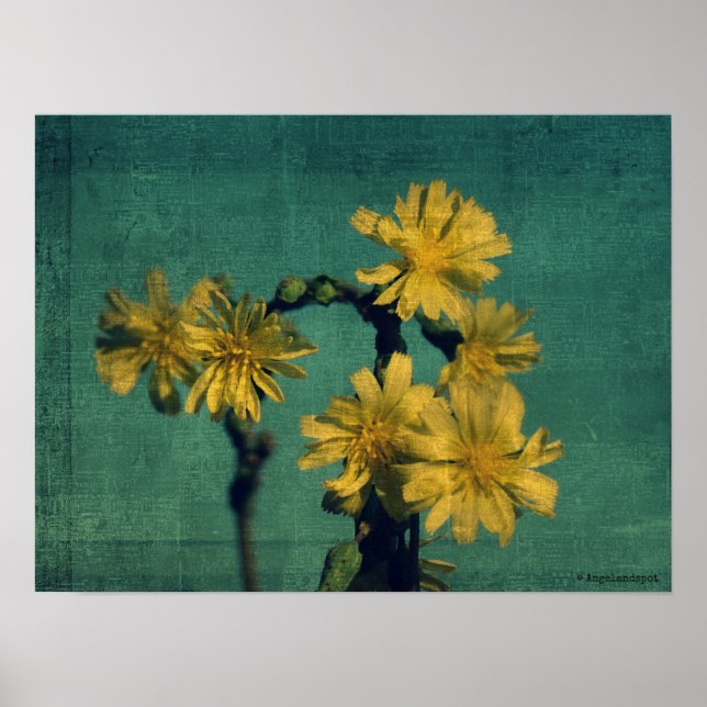 Affiches Fleurs jaunes (Devant)