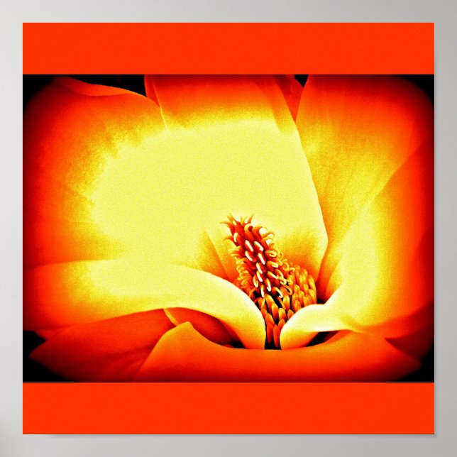 Affiches Fleurs peintes à l'affiche 9 (Devant)