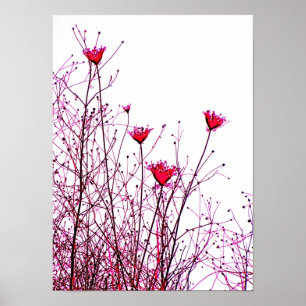 Affiches fleurs roses