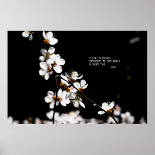 Affiches Fleurs Sakura