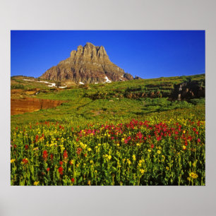 Affiches Fleurs sauvages alpins au col Logan à Glacier