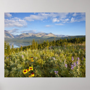 Affiches Fleurs sauvages de la prairie et lac Lower Two Med