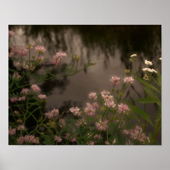Affiches Fleurs sauvages roses par Stream Photo Art (Devant)