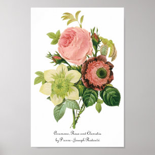 Affiches Fleurs vintages, Anémones Roses Clematis par Redou