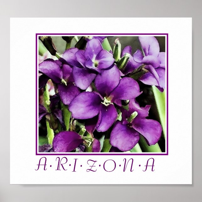Affiches fleurs violettes d'impression d'Arizona (Devant)
