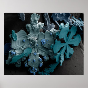 Affiches Flocon de neige