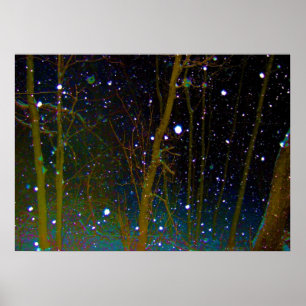 Affiches Flocons de neige dans les bois